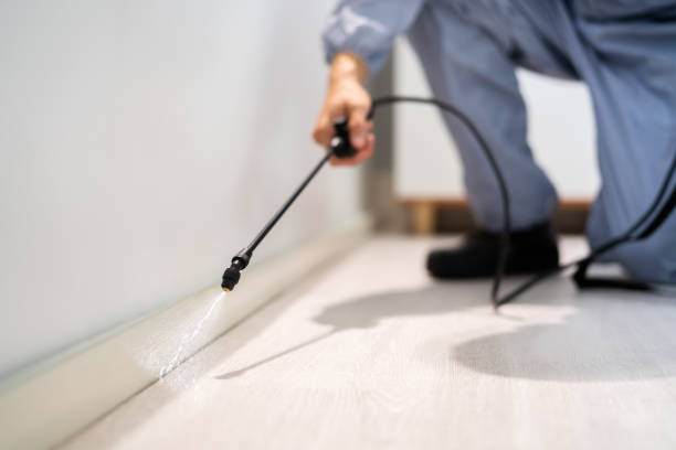 Licensed Ant Control service in Crockett County County, TX - Nex Pest Control