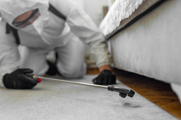 Professional Ant Control technician working in Crockett County County, TX